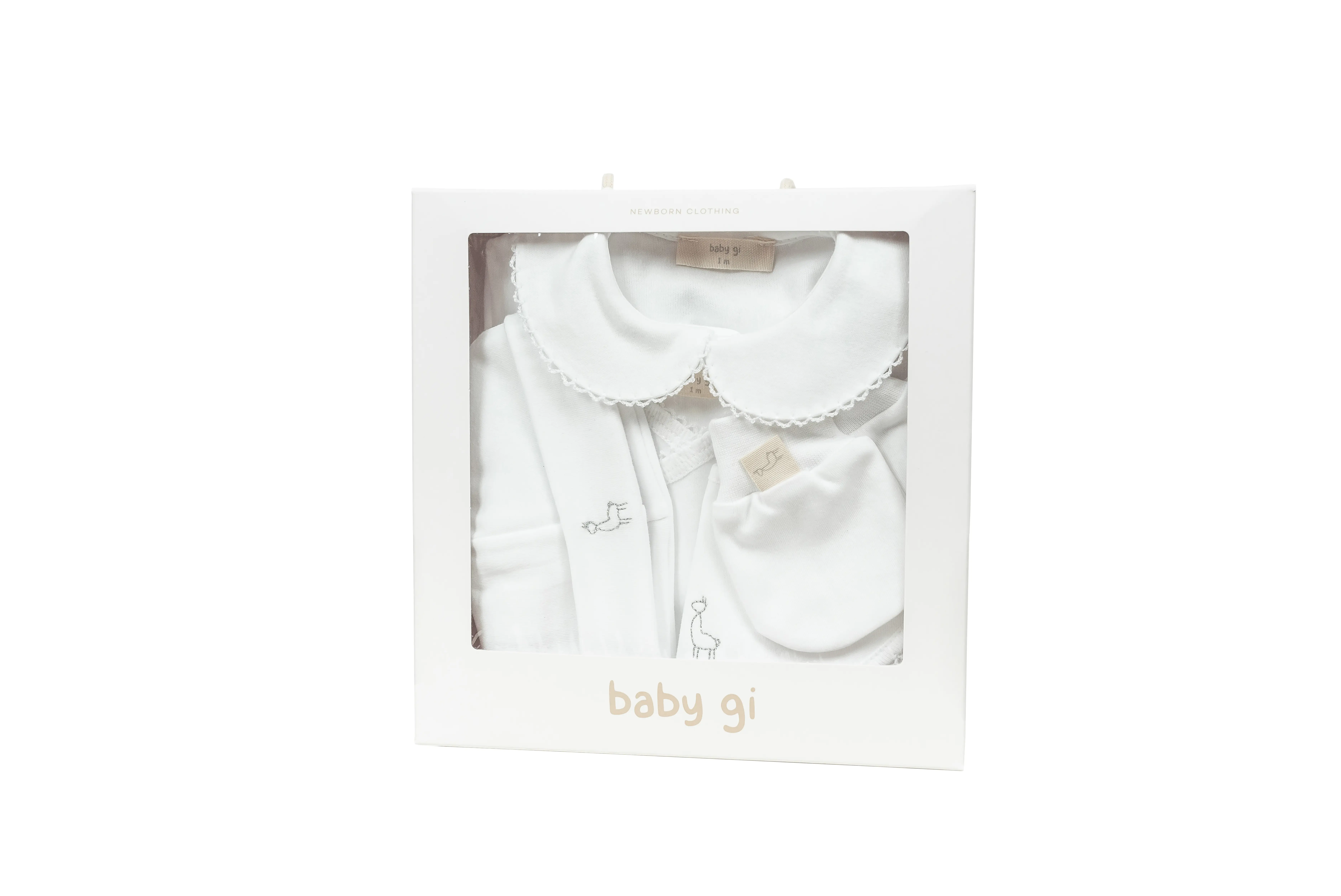 KIT NASCIMENTO BABY GI SILVER