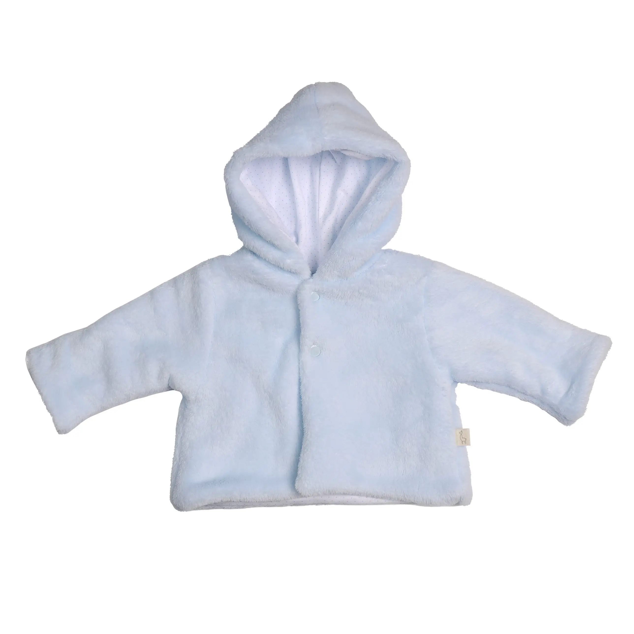 BG81_FF02.webp?202503220015